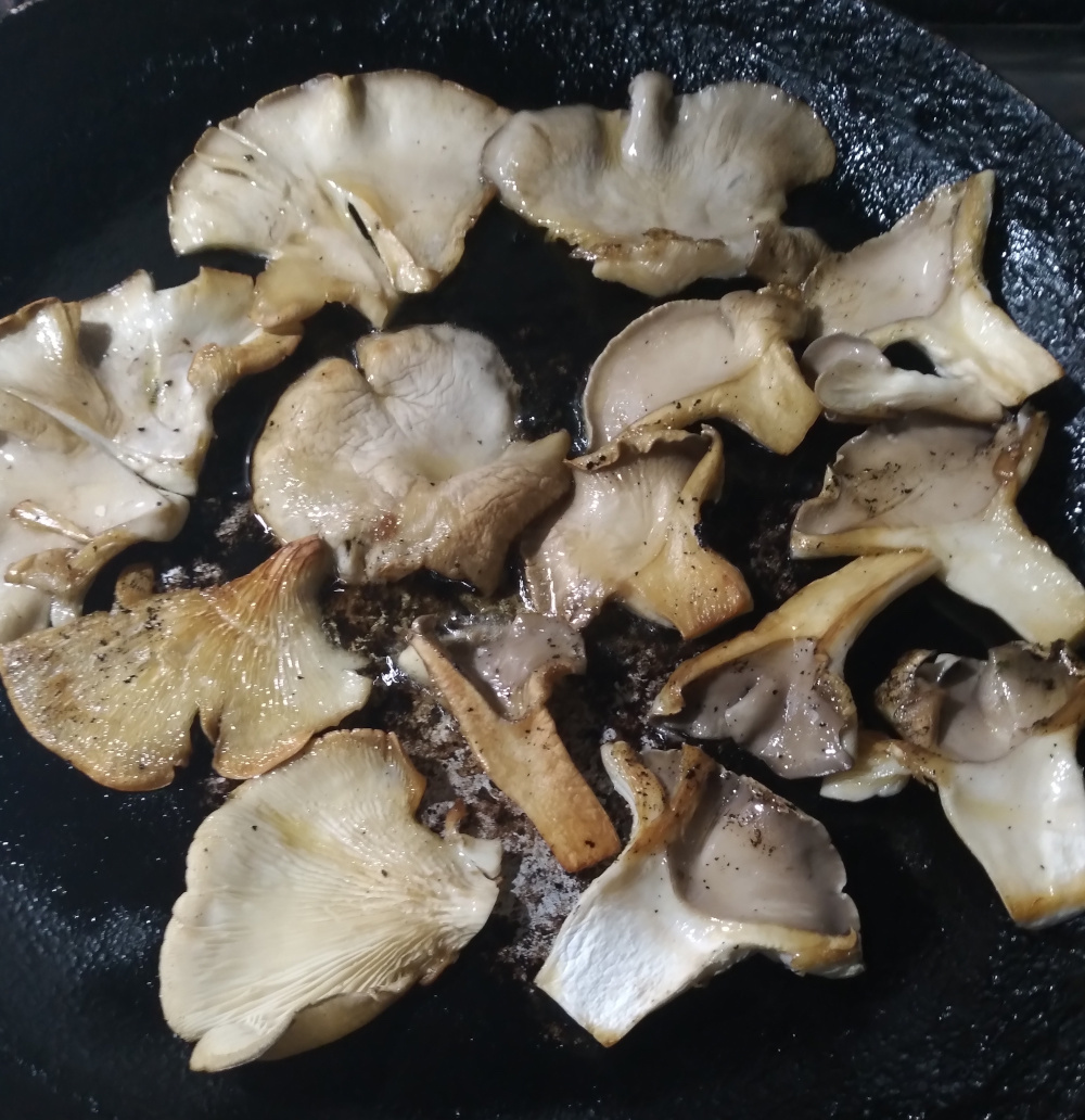 girgolas-azules-y-grises-a-la-provenzal-2 girgolas-azules-y-grises-a-la-provenzal-2